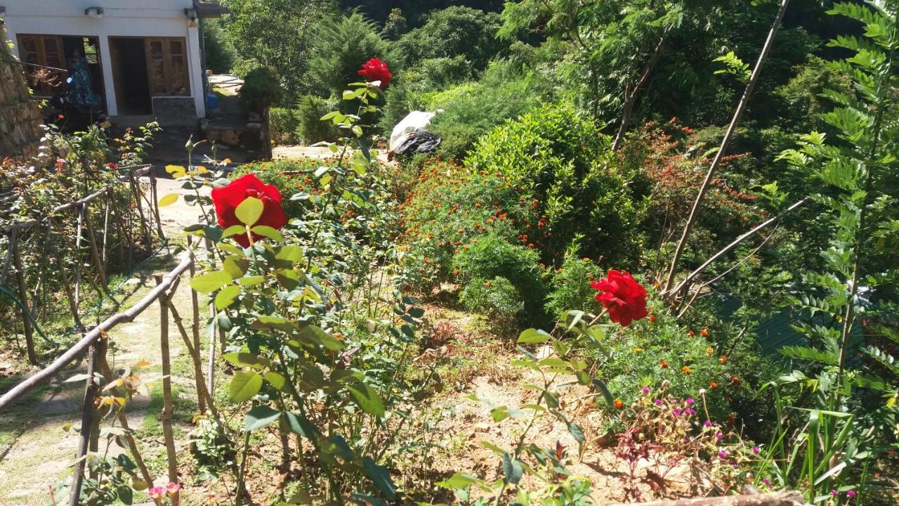 Artist Cottage Haputale Εξωτερικό φωτογραφία