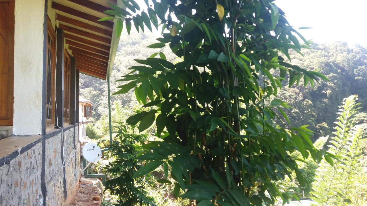 Artist Cottage Haputale Εξωτερικό φωτογραφία